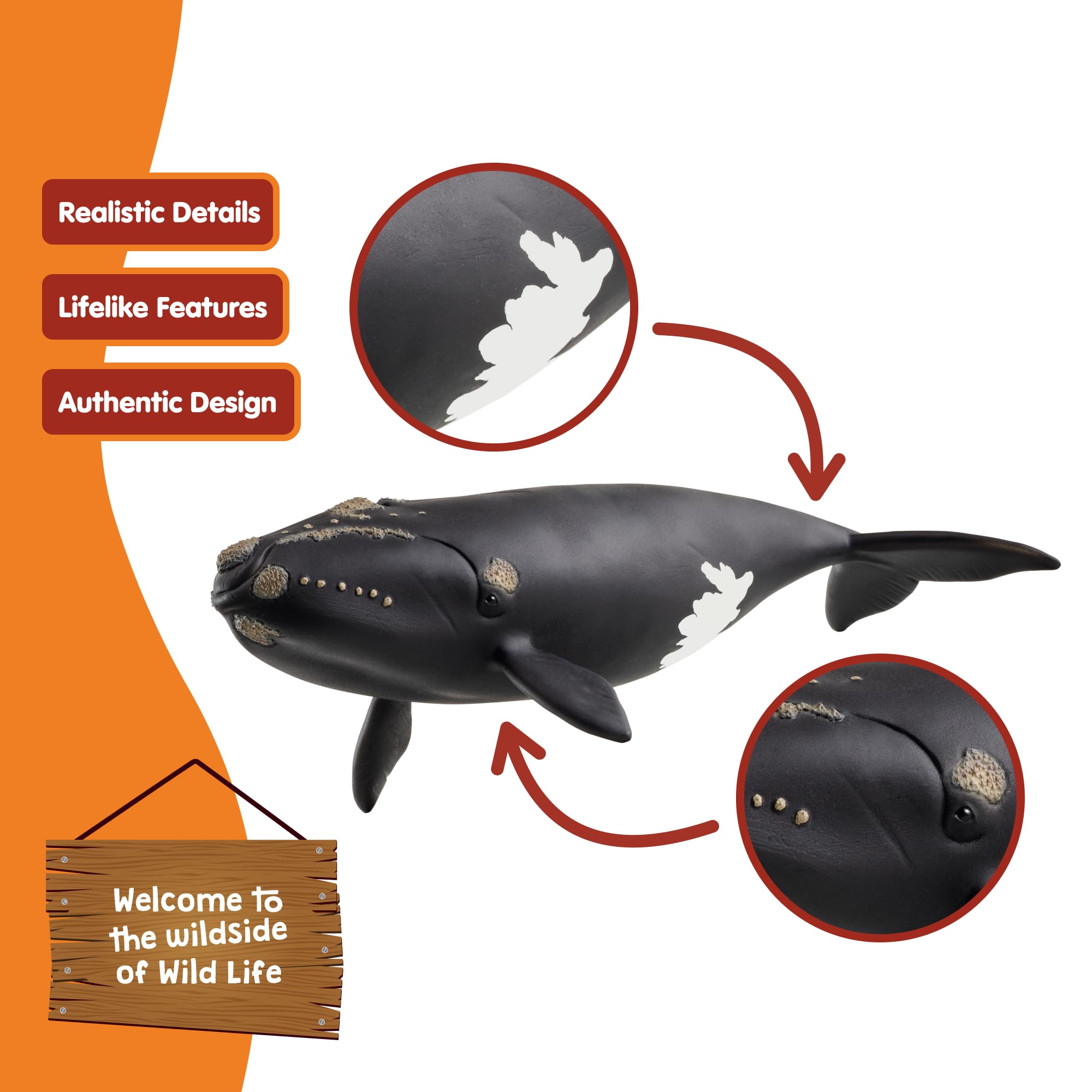 Amazon.com: schleich Wild Life - 7” North Atlantic Right Whale Toy